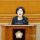 김보영 카카오 검색결과
