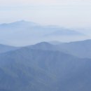 털보네농장 이미지