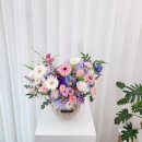썬플레르