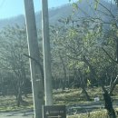 신북농업협동조합(주유소) 이미지