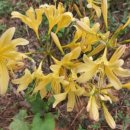 개화부동산공인중개사사무소 이미지