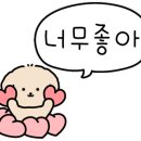 웰빙알쌈쭈꾸미 이미지