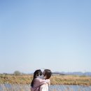 영강동주민센터 | 나주 가볼만한곳 영산강 체육공원 유채꽃밭부터 자전거강변도로 벚꽃길까지