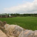 무릉2리(인향동) 이미지