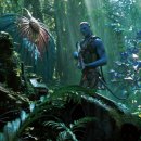 손희정의 영화 비평 이미지