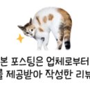 동구종합동물병원 이미지