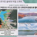 백운산숲속의아침 이미지