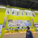 여주곤충박물관 | 여주아울렛근처볼거리ㅣ여주곤충박물관 방문 후기(feat. 준비물)