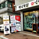 강남펫스타일 이미지