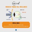 쏘룩스 네이버블로그