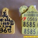 지당목장 이미지