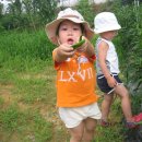 강민농장 이미지