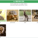 영등포키즈 이미지