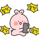 언덕위에오리집 이미지