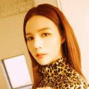 마이스터(MEISTER) 이미지