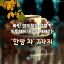 감기 비켜 바람부는 환절기 건강 지킴이 한방차 7가지 이미지