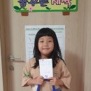 성 금 사