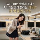 컴퓨터 팬 소음 본체 헬리콥터 이륙 소리? ARCTIC P12 쿨러 먼지 청소 및 미싱유 주입 심폐소생술로...