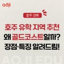 그리피스에이전트 | [대학교] 호주 유학 지역, 골드코스트를 추천하는 이유! (Feat. 에이전트 행사 후기)