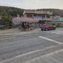 천덕상회