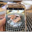 화끈한갈매기 이미지