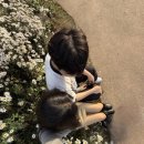 신가네 정읍국밥 본점 이미지