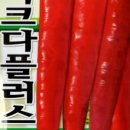 진양원예사 이미지