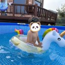 스테이안봉 이미지