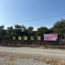 가까이에 파도소리 | [태안 카페 파도로] 만리포 오션뷰 카페, 나는솔로 촬영지 식물카페 후기