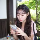 디자인새늘 이미지