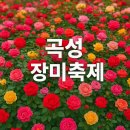 평택교육지원청 별관 주변 | 곡성세계장미축제 주차 정보 밥집 숙소 위치