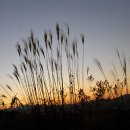 지리산골 이미지