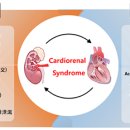 주식회사 메가바이오 이미지
