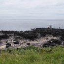 제주공항 게스트하우스 예스준 이미지