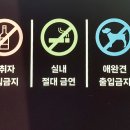 24시가즈아코인노래연습장 이미지