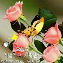 몸펴기 이미지