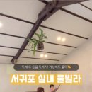 스테이준 이미지