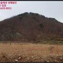 권이리 네이버블로그