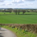 배드컴퍼니 이미지