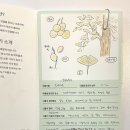 [differ 커뮤니티 모임 후기] 식물 산책: 관찰하고, 그리고, 기록하기