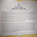 펜과 연필로 그리는 감성 여행 드로잉 | [볼로냐 일러스트 원화전 29th] 전시 관람 일지