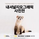 <내셔널지오그래픽 사진전 후기 (잠실 뮤지엄209,MUSEUM209)>