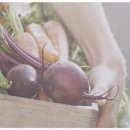 금영식당 이미지