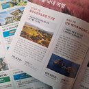 우리행정사사무소·여행사 이미지