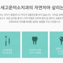 아름다운미소치과의원 네이버블로그