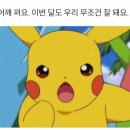 플레이클라우드 이미지
