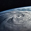 태풍이네 이미지