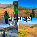 비밀의정원 | 인제 비밀의정원 후기 낮엔 몰랐던 이유 새벽안개 포토 팁