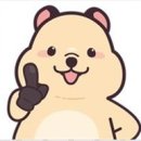 글빛초등학교 이미지