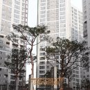 간석한신더휴공인중개사사무소 이미지